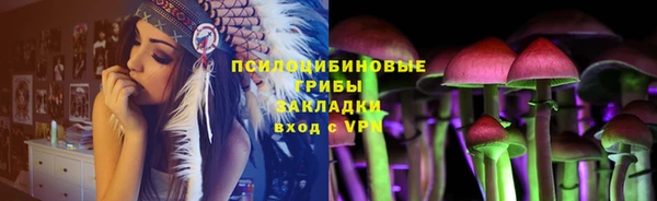 винт Лиски
