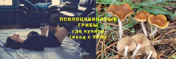 винт Лиски