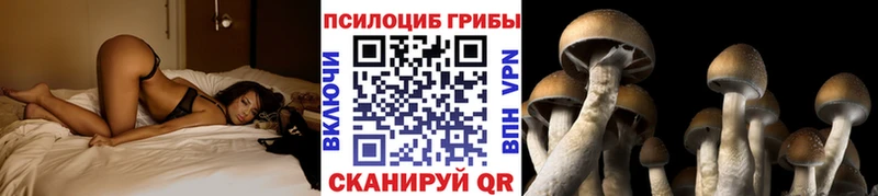Псилоцибиновые грибы Magic Shrooms  Купить где  Гусь-Хрустальный 